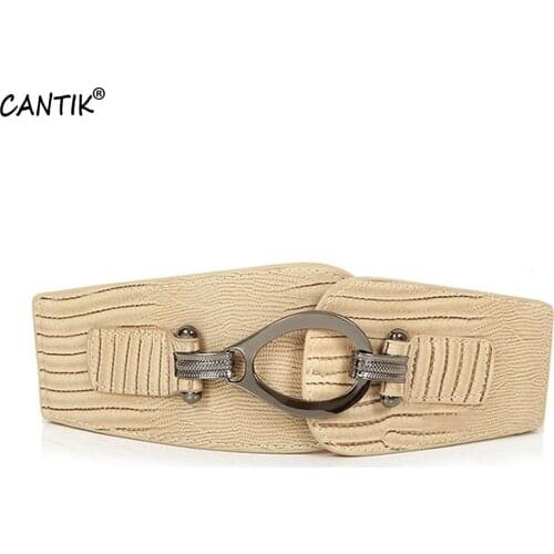 CANTIK Womens Fashion Retro Dress Wide Elastic Waistband Quality Cowhide Leather Snake Line Skirt Decorative Belt Women SACA039