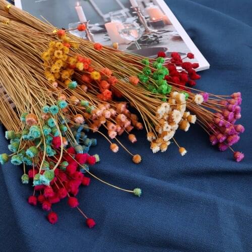 50pcs/lot Happy Flower Natural Dried Flower Bouquet Home Decoration Real Flower DIY Flower Arrangement Flower Shooting Props