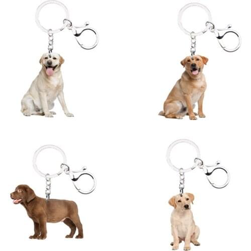 Labrador Retriever Dog Keychain 4pcs/set Animal NOT 3D Llaveros Kawaii for Him Her Boyfriends Gift Car Key on The Backpack Anime