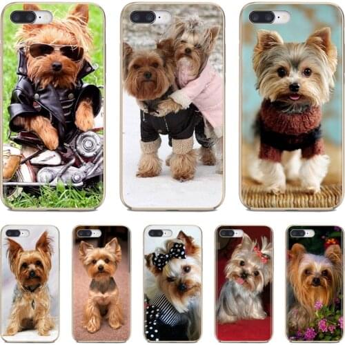 Fullmetal Xiaomi Phone Cases