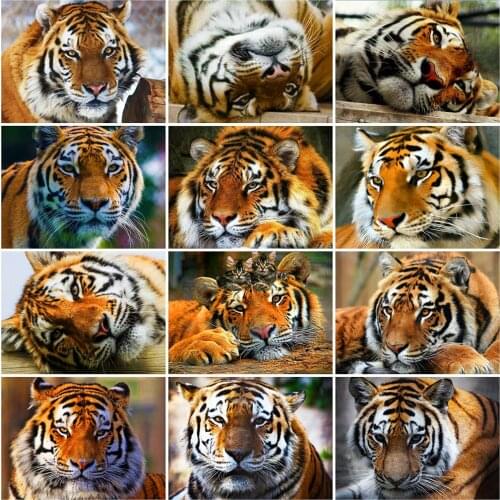 Evershine 5D Diamond Painting Tiger Picture Of Rhinestones Diamond Embroidery Animals Full Square Mosaic Sale Home Decoration