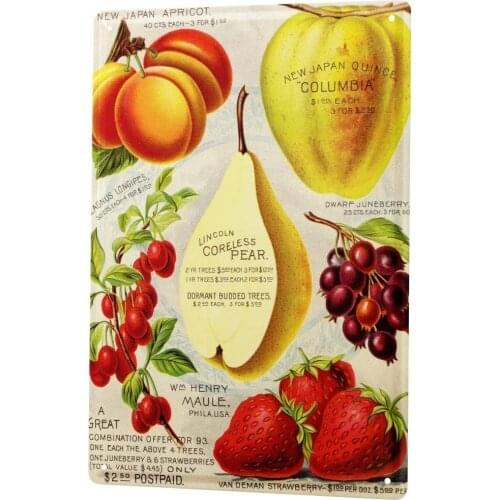 SINCE 2004 Tin Sign Metal Plate Decorative Sign Home Decor Plaques Food Restaurant Fruit