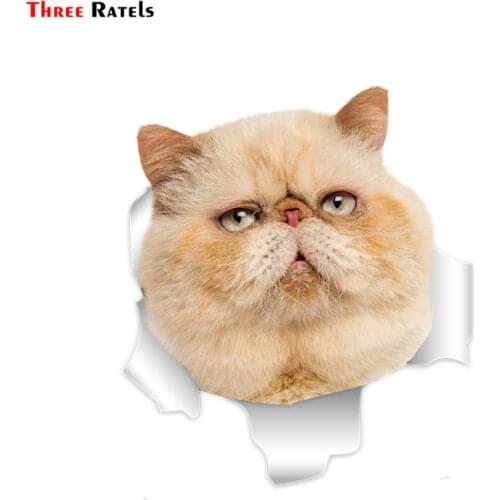 Three Ratels QM-22 Cute 3D Persian Cat Home Decor Wall Sticker Wall Stickers For Children Car Sticker