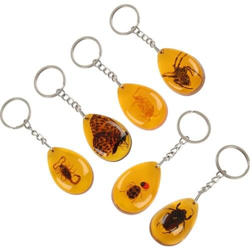 1PC Amber Key Chain Resin Insect Specimen Scorpion Butterfly beetle spider Key Ring Jewelry Gifts for Women Men Bag Accessories