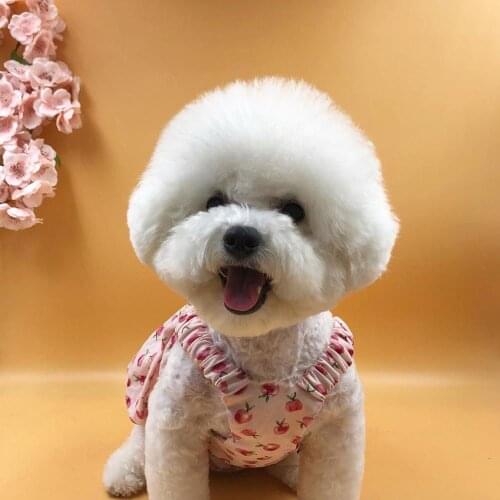 Ins hot style South Korea summer autumn lovely peach bubble dress dog skirt Puppy Clothing Spring Fashion dress Pet clothes