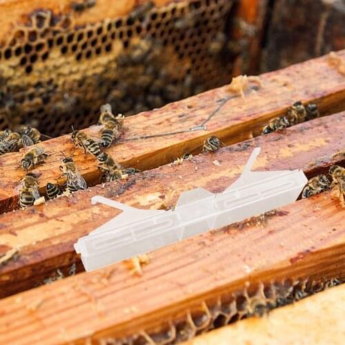 Garden Supplies Household Outdoor Small Beekeeping Tools Beetle Insect Bug Traps Pest Control