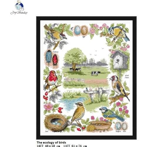 The Ecology of Birds Patterns,Counted Print On Canvas DMC Cross Stitch kits,Embroidery Needlework Set,Handmade Crafts Home Decor