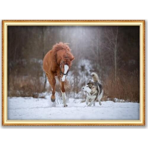 Animal Dog Husky DIY Cross Stitch Embroidery 11CT Kits Craft Needlework Set Cotton Thread Printed Canvas Home Decoration Sell