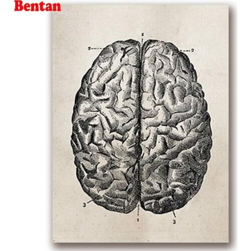 Needlework Diamond Painting Medical Anatomy Diamond Embroidery Rhinestone Mosaic Picture by numbers hobby gift crafts decor