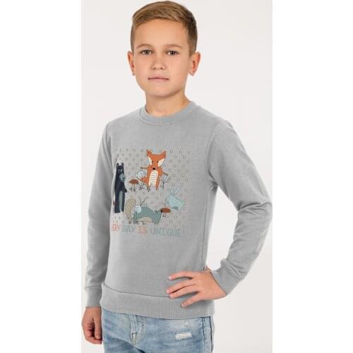 CoolColor Sweatshirts For Girls