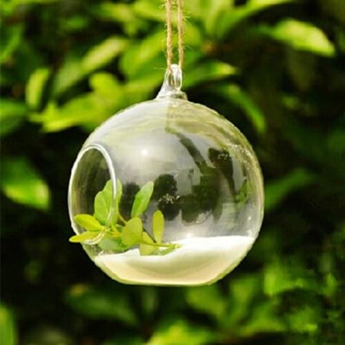 Free Shipping Diameter=15cm Glass Terrarium Vase Home Decoration DIY Micro Landscape Container Hanging Candle Holder Friend Gift