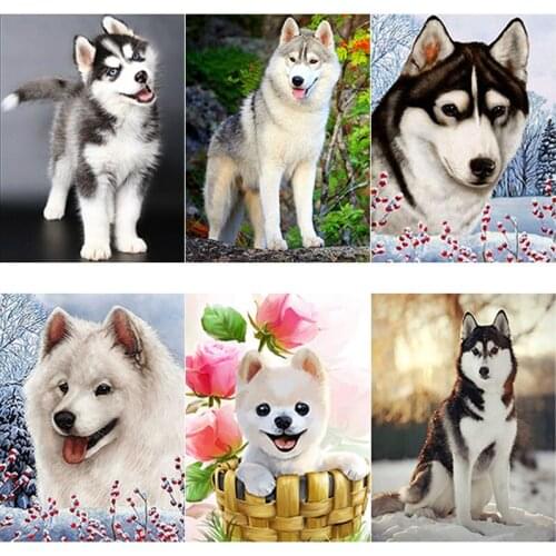 DIY Diamond Sets Decor Painting Full Round Square Drill Rhinestone Embroidery Picture Cross Stitch Kit Handmade Art Decor Gift