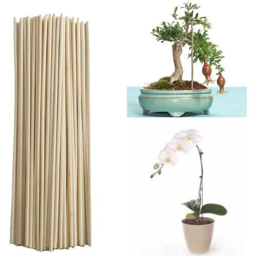 50pcs Bamboo Plant Sticks Wooden Plant Grow Support for Flower Stick Stands Agriculture Garden Bonsai Tool