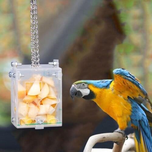 Creative DIY Assembly Parrot Feeder Bird Seed Food Foraging Toy Acrylic Box Intelligence Growth Cage Accessories