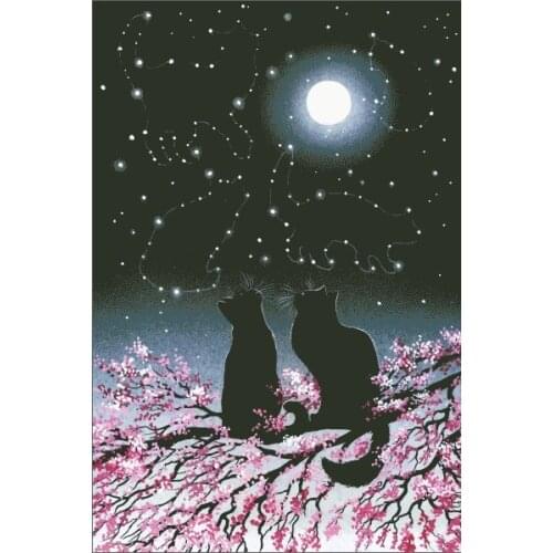 Free Delivery Top Quality Counted Cross Stitch Kit Constellations HAEIAG two black cats kitties at starry night