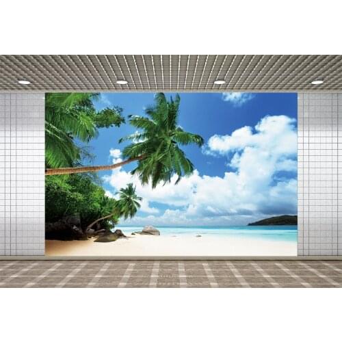 Lyavshi Summer Tropical Backdrops Photography Palmes Tree Seaside Beach Blue Sky Cloudy Scenic Photo Background Photo Backdrops