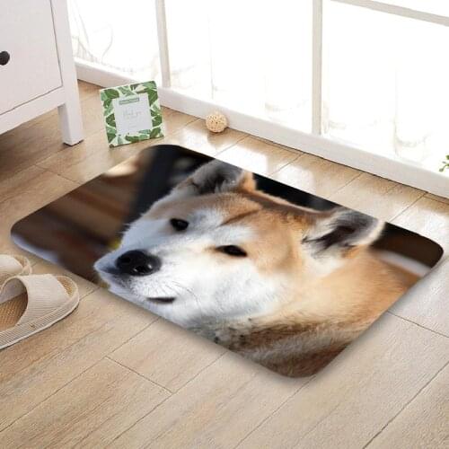 HEARMNY New Arrival Doormat Cute Akita Dog Home Mat Machine Made Anti Slip Carpet Living Room/Hallway Bath Mat For Kids Gift
