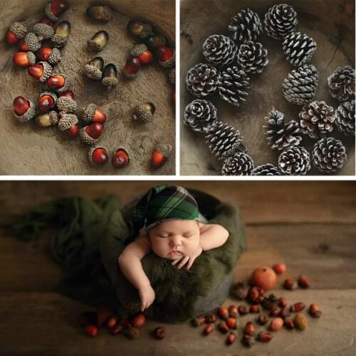 Photography Props Christmas Pine Cones And Artificial Nuts New Year Theme Shoot Photo Studio New Accessories 10 Pcs