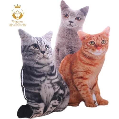 Reve colore Cushions