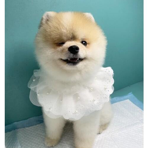 Cute Pet Dog Cats Collars Necklace Pink White Lace Cloth Bibs Collar Puppy Dog Supplies For Small Dog Jewelry Accessories teddy