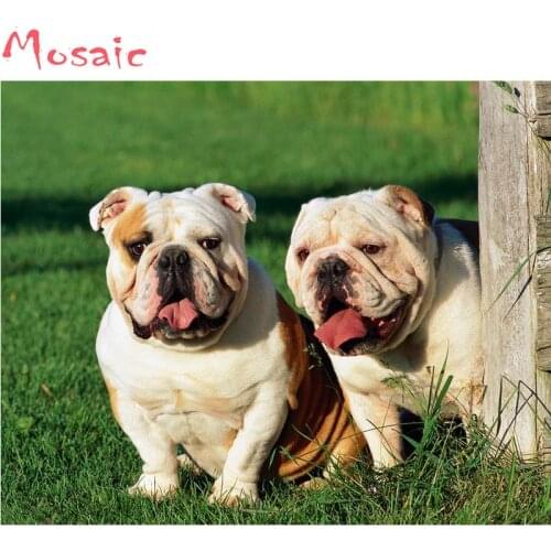 DIY 5D Full Diamond Embroidery English Bulldog Diamond Mosaic Picture Animal square Diamond Painting Cross Stitch Kits decor