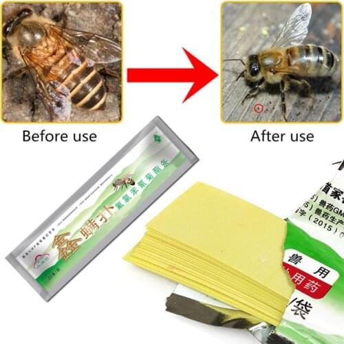 Professional Acaricide Against The Bee Mite Strip Beekeeping Medicine Bee Varroa Mite Killer & Control Beekeeping Farm Medicines