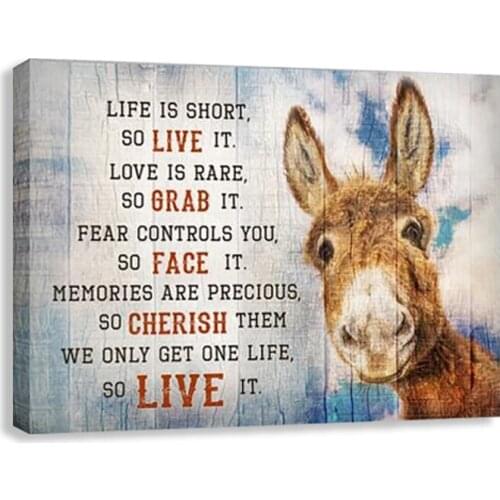 Rustic Farmhouse Room Decor Posters Animal Donkey Canvas Painting Wall Arts Living Room Prints Pictures Kids Children Room Decor