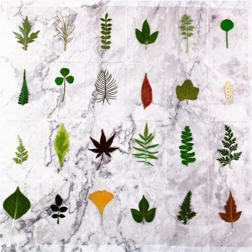 10pcs/Lot Bookmark Handmade Dried Maple Leaf Clover Stationery Holder Book Page Corner Plant Specimen Fall Autumn Leaves