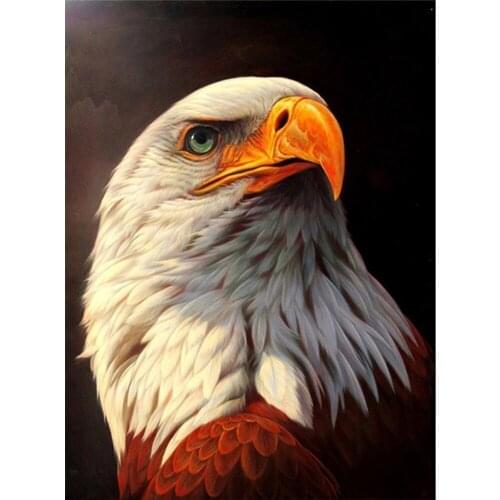 LI LOYE DIY Diamond Painting Cross Stitch pattern Full Rhinestones Mosaic 5D Diamond Embroidery Animal Eagle Decor Painting F673
