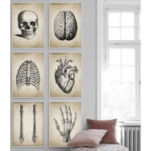 Vintage Style Skull Anatomy Poster For Home Decor, Wall Posters And Prints