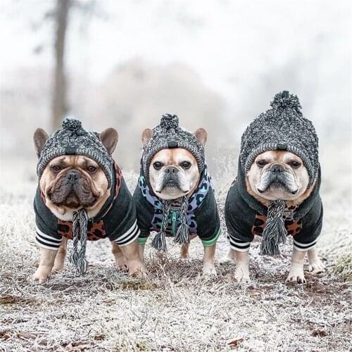 Pet Dog Hat Winter Warm Knitted Dog Hats Windproof Dog Headwear Hat Headdress for Pug Faraday Corgi Headgear Pet Accessories