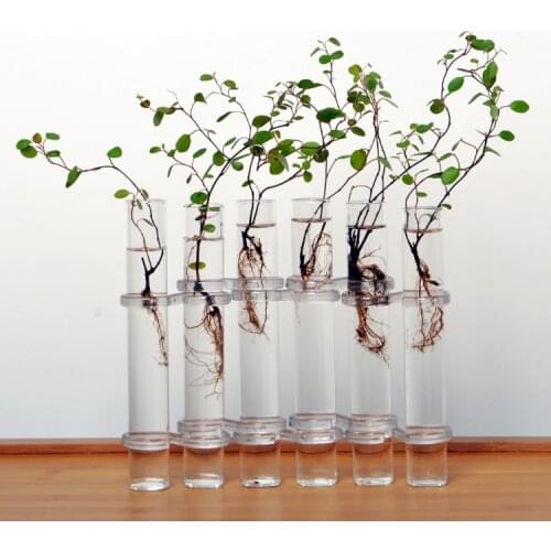 6Pieces Creative Glass Test Tubes Hanging Flower Bottle Micro-Landscape Planter Vase Pot