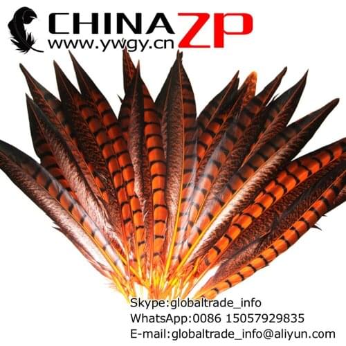 Manufacturer in CHINAZP Factory wholesale 100pcs/lot 30-35CM(12~14inch) Dyed Orange Lady Amherst Pheasant Feathers