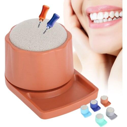 5 Colors Dental Endo Stand Files Cleaning Holder Case Burs For Oral Care Tools