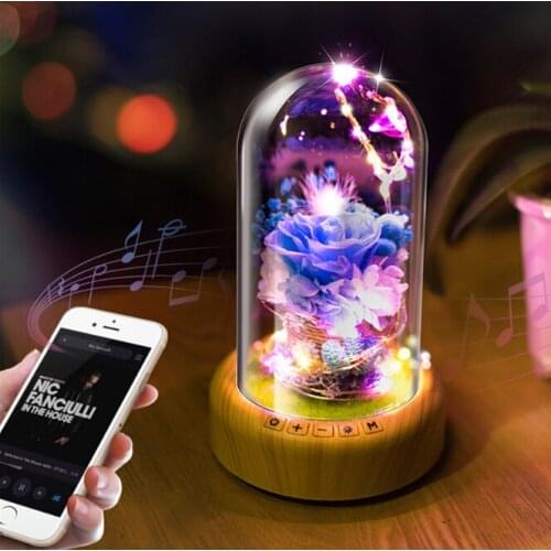 Romantic Rose Glass Bottle Lamp with String light Rechargeable Wireless Bluetooth Speaker Christmas Home Decor Lamp