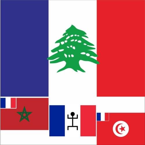 40 France French Overseas Colonies FLAG 3X5FT 100D Polyester Double Stitched High Quality Lebanese1920 Banner