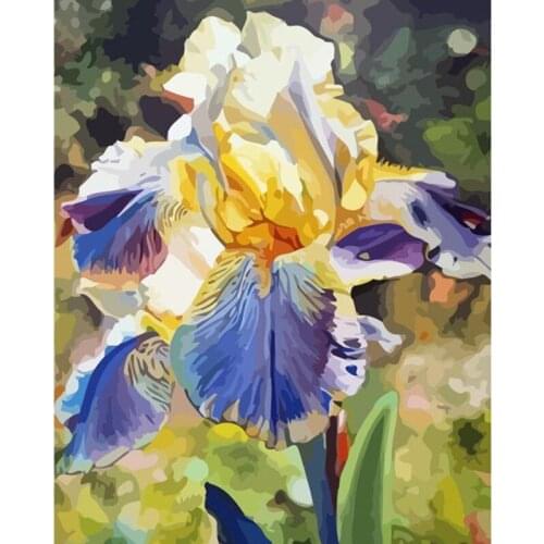 Painting By Number DIY Dropshipping 40X50 50X65CM A Yellow and Purple Iris Flower Handmade Gift For Adult Unique Gift Home Decor