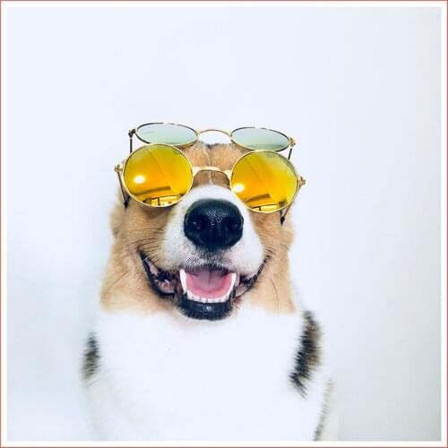 Medium Large Dog Glasses Fashion Eye-wear Pet Sunglasses for Cats Pets Grooming Pet Products Dog Accessories Supplies Mascotas