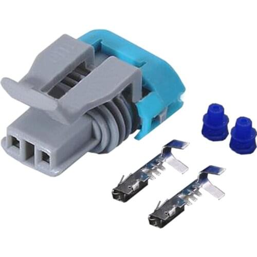 2 Pin Automotive connector wiring harness connector plug with Terminal DJ7024B-1.5-11/21 2P
