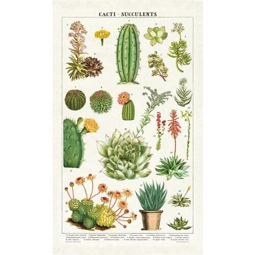 Papers Vintage Succulents Waterproof Rectangle Table Cloth