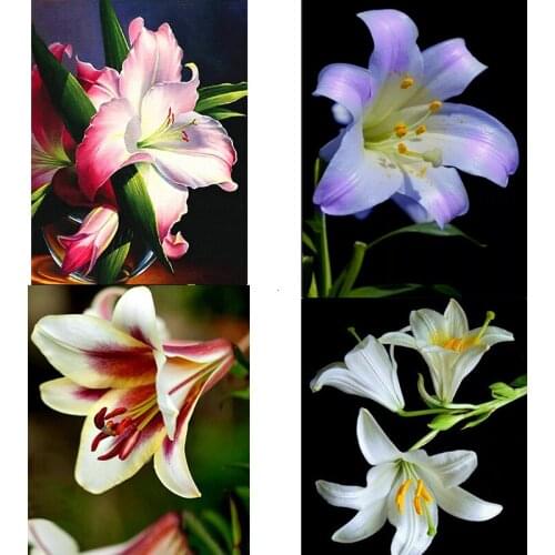 5D DIY Diamond Embroidery Mosaic Lily Cross Stitch Rhinestone Diamond Painting Flower Full Square Round Art Gift Home Decoration