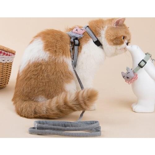 Pet Cat Floral Printing Harness and Leash Set Summer Chihuahua Pet Cats Harness for Small Dog Adjustable Walking Puppy Accessory