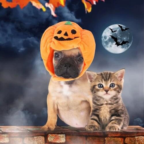 Halloween Cute Pet Hat Pumpkin Dog Cat Hat Dress Up Headdress Adjustable Small Dog Cat Cosplay Costume Teddy Poodle Plush Cap