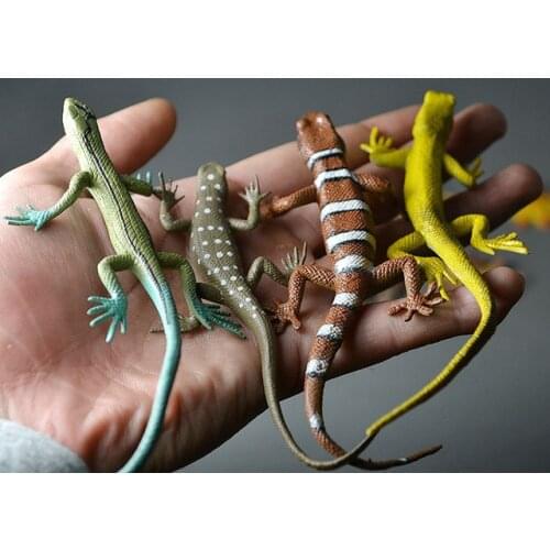 10PCS/SET Animal model toy Odor-free environment wildlife simulation Gecko lizard chameleon lizard model figure toy