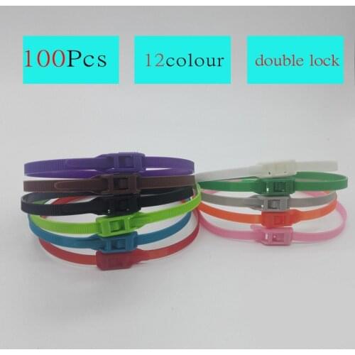 High Quality Full Size Color Nylon 66 Plastic Double Lock Cable Tie OEM 8x350mm 100pcs for Kids amusement park