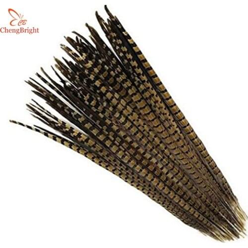 ChengBright Wholesale 20Pcs 12-28inch/30-70cm Natural Pheasant Tail Feathers Carnival Wedding Decoration Pheasant Feathers plume