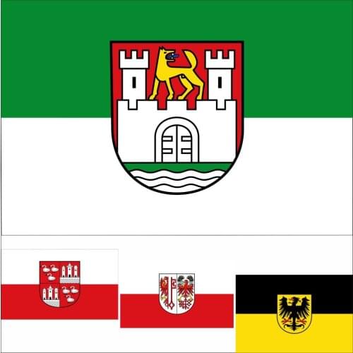 Germany 119 City And Wolfsburg Flag 3X5FT 90X150CM 100D Polyester Hissflagge Der Hansestadt Salzwedel Banner