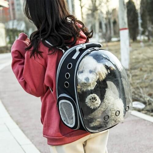 Cat Carrier Bags Breathable Pet Carriers Small Dog Cat Backpack Travel Space Capsule Cage Pet Transport Bag Carrying For Cats