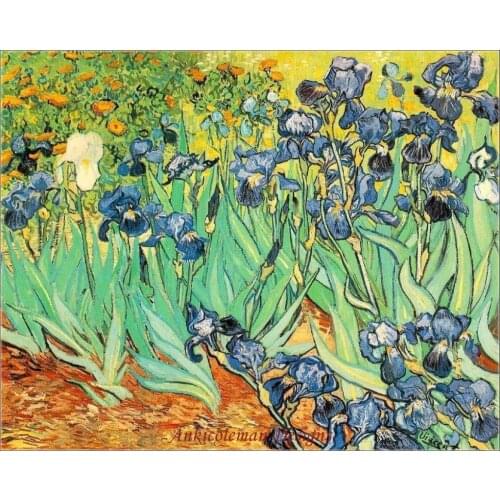Needlework for embroidery DIY DMC High Quality - Counted Cross Stitch Kits 14 ct Oil painting Van Gogh - Irises