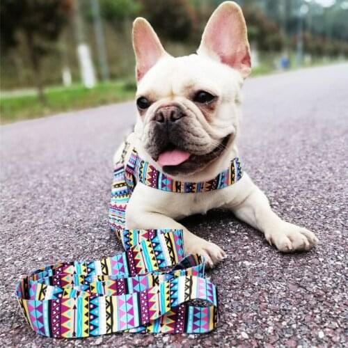 Personalized Fabric Dog Leash Harness No-Pull Dog Harness Easy Control Handle for Small Medium Dogs Training Walking vest harnes